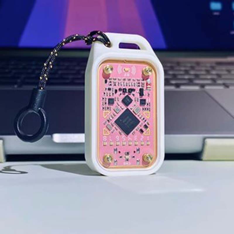 Chameleon - The Ultimate RFID Tool for Security Testing